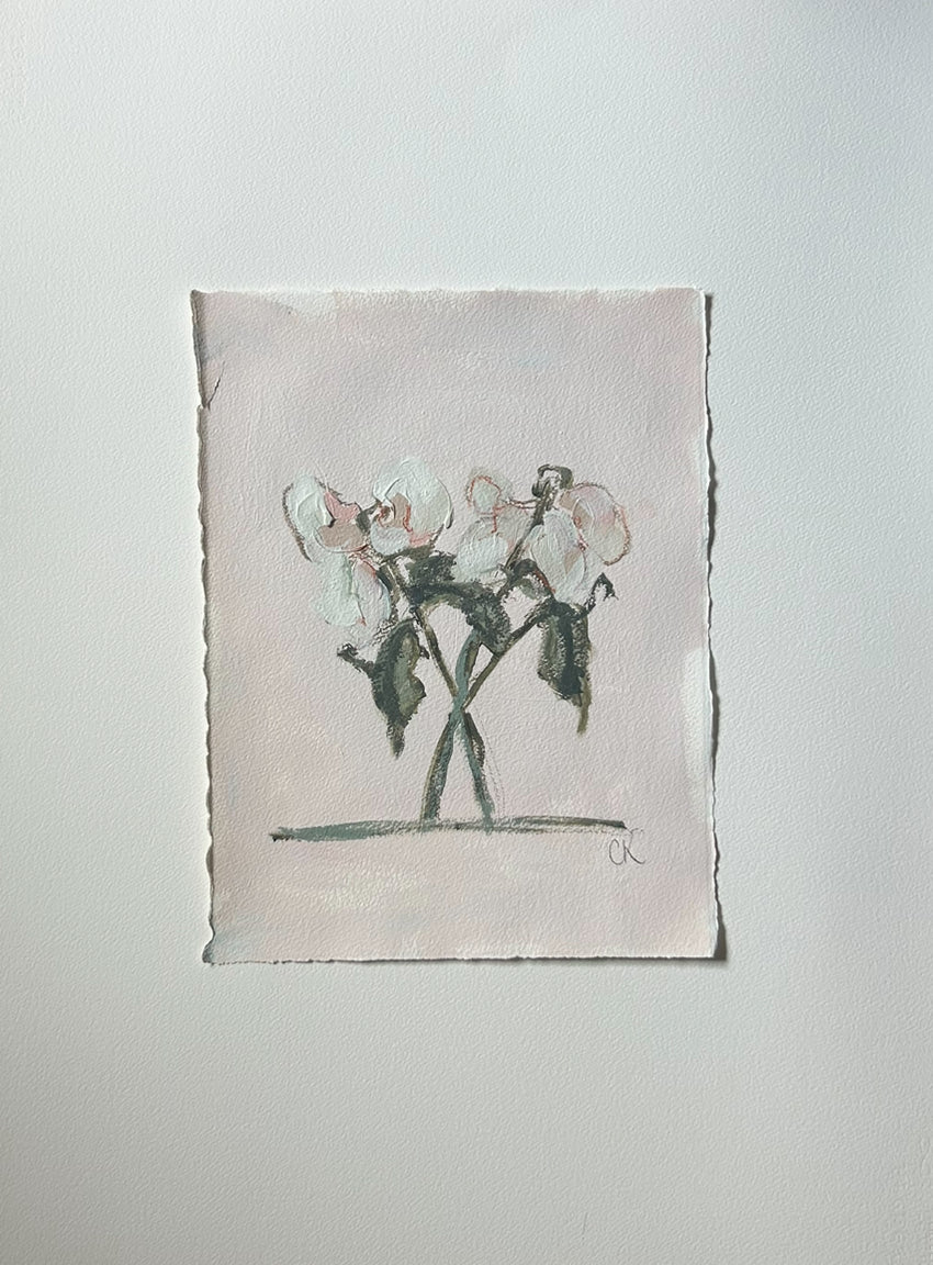 Blush Pink Botanical II