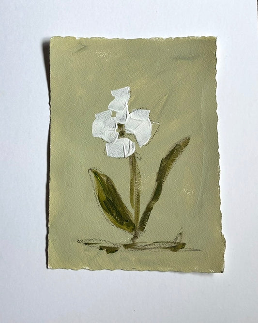Summer Abstract Floral Paper IV