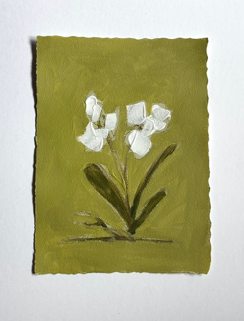 Summer Abstract Floral Paper III