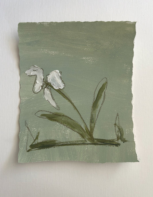 Medium Abstract Floral Sage II