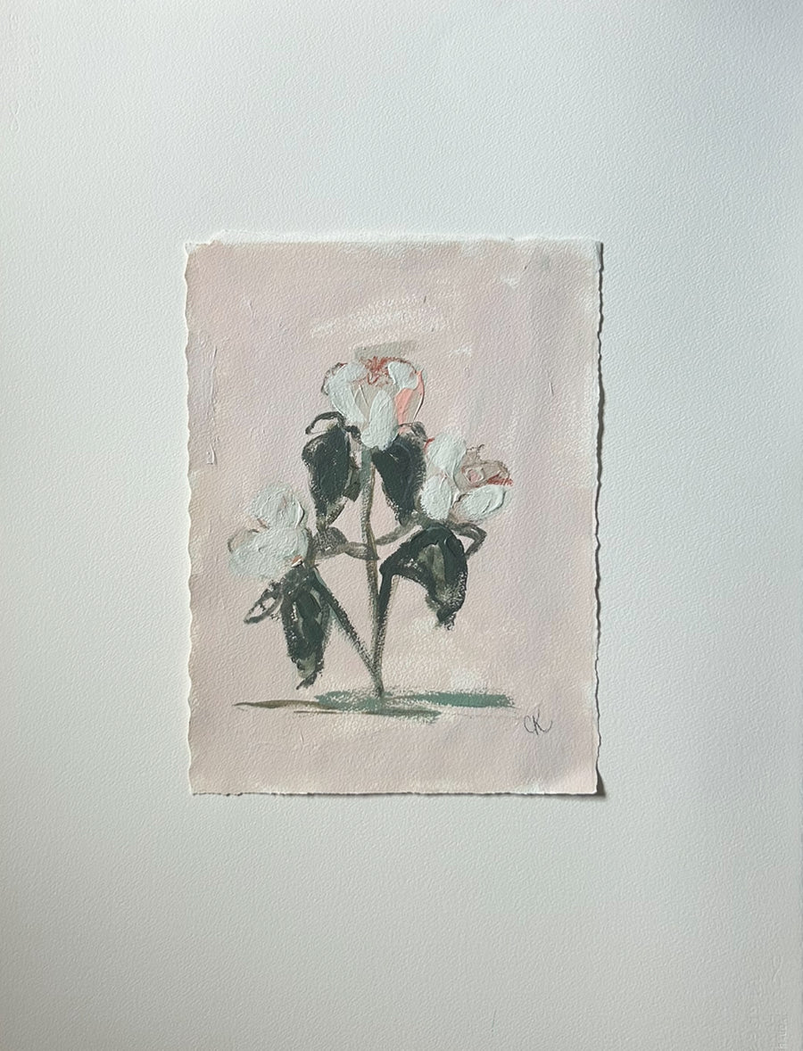 Blush Pink Botanical I